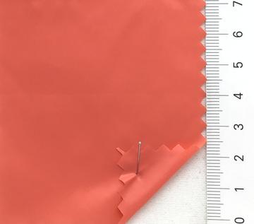 55 Pale Orange
