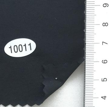 10011 Black