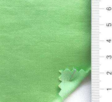 99999 Pale Green