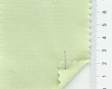 99999 Pale Green