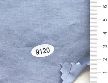 9120 Pale Blue