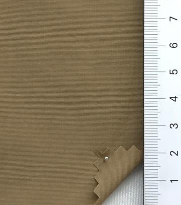 21 Camel