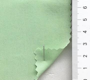 19 Pale Green