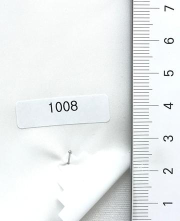Polyester-blend Water Repellent Plain Weave