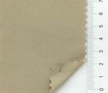 19 Beige