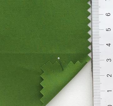 61 Pale Green