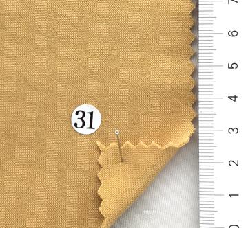 31 Camel