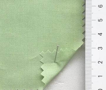 19 Pale Green