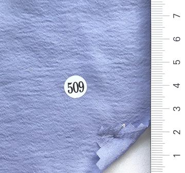 509 Pale Blue