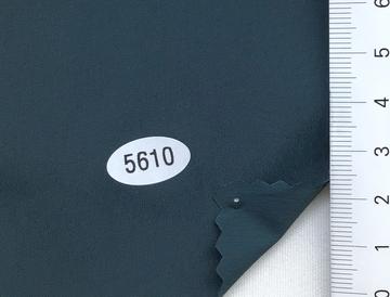 5610 Turquoise
