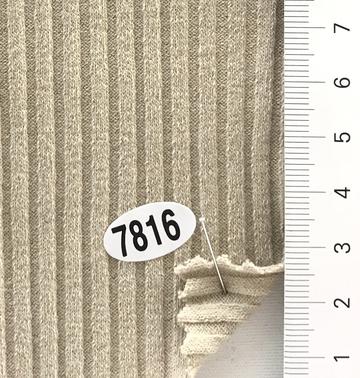 7816 Ivory