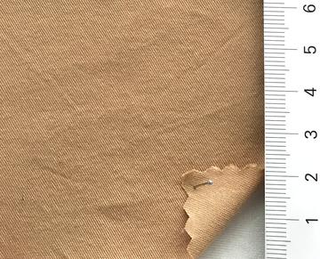17 Camel