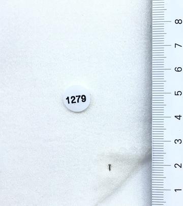 1279 Ivory