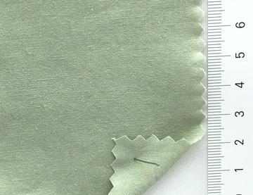 21 Pale Green