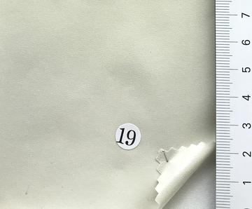 19 Ivory