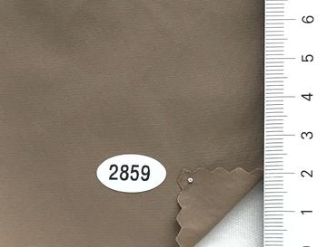 2859 Beige
