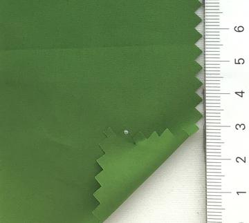 99999 Pale Green