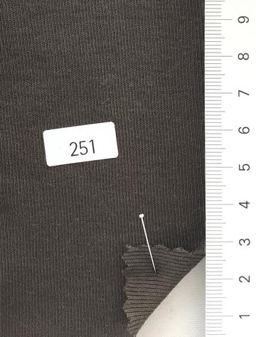 251 Brown
