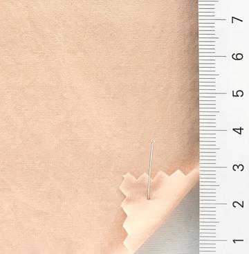 10 Pale Orange