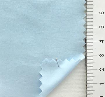 99999 Pale Blue