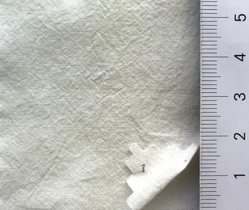 31 Ivory