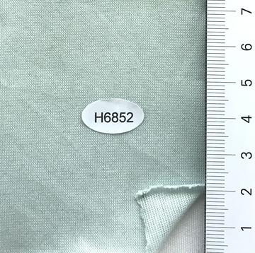H6852 Pale Green