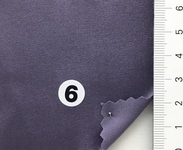 구 6 Purple