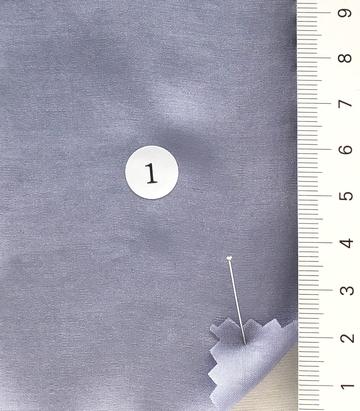 1 Pale Blue