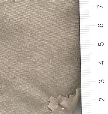 99999 Beige