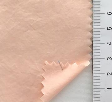 99999 Pale Orange