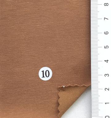 10 Camel