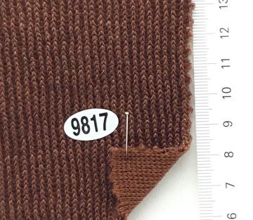 9817 Brown