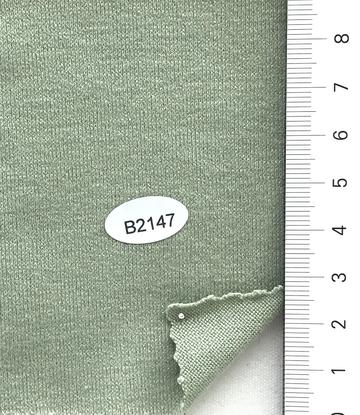 B2147 Pale Green