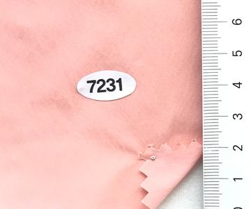7231 Pale Orange