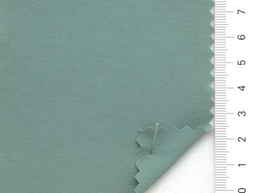 99999 Pale Green