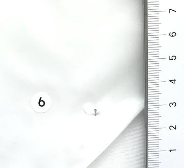 6 White