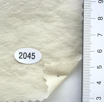 2045 Ivory