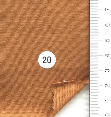 20 Camel
