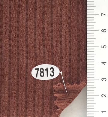 7813 Brown