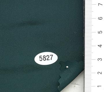 5827 Deep Green