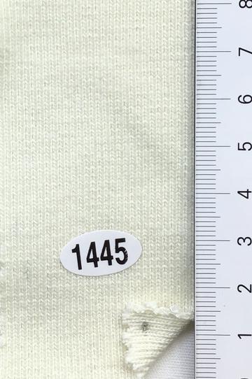 1445 Ivory
