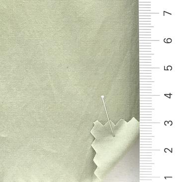 17 Pale Green