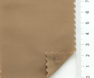 17 Camel