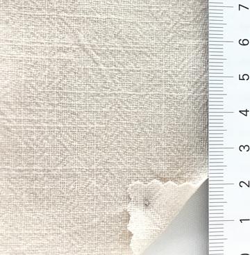 99999 Ivory