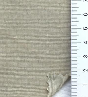 99999 Beige