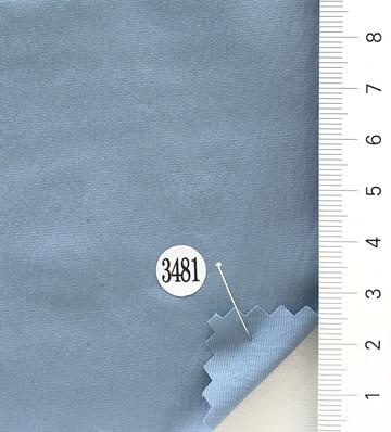 3481 Pale Blue