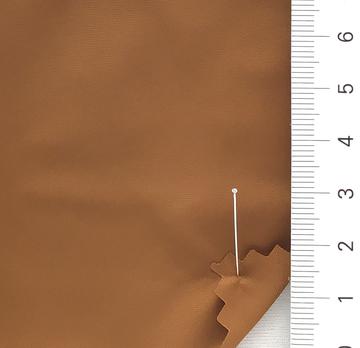 25 Camel