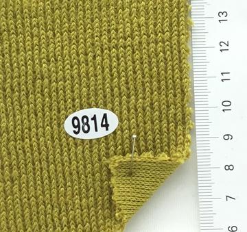 9814 Camel