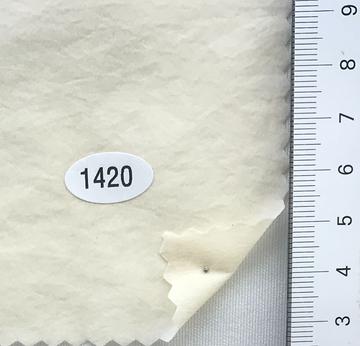 1420 Ivory
