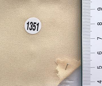 1351 Pale Orange
